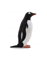 ANIMAL P. Pingwin białobrewy - nr 4