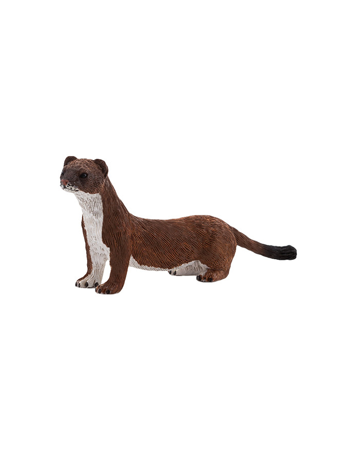 ANIMAL P. Gronostaj główny