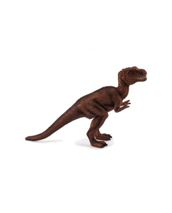 ANIMAL P. Młody Tyranozaur Rex