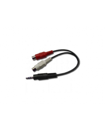 Kabel MINIJACK/2xRCA(Cinch) M/F 20cm