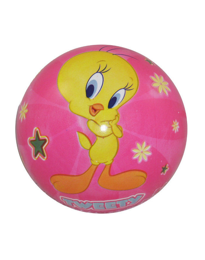 ARTYK Piłka Tweety 23 cm główny