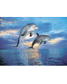 CLEMENTONI 500 EL. Delfiny - nr 2