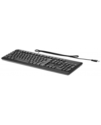 HP USB Keyboard                  QY776AA