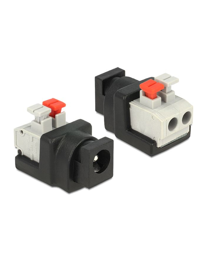 ADAPTER TERMINAL BLOCK (2PIN)(PUSH BUTTON)->DC 5.5 X 2.1MM(F) DELOCK główny