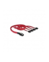 KABEL SAS 36PIN MINI (SFF 8087)->SATA 7PIN X4 50 CM DELOCK - nr 10