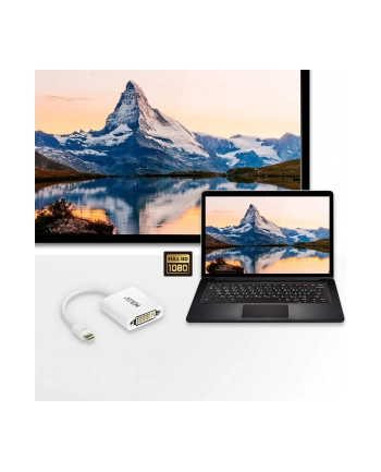 Mini DisplayPort(M) to DVI-D(F) Cable nr 2