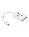 Mini DisplayPort(M) to DVI-D(F) Cable - nr 28