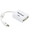 Mini DisplayPort(M) to DVI-D(F) Cable - nr 10