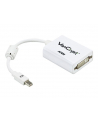 Mini DisplayPort(M) to DVI-D(F) Cable - nr 11