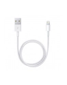 Apple Przewód ze złącza Lightning na USB (0,5 m) ME291ZM/A - nr 11