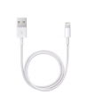 Apple Przewód ze złącza Lightning na USB (0,5 m) ME291ZM/A - nr 29