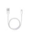 Apple Przewód ze złącza Lightning na USB (0,5 m) ME291ZM/A - nr 5