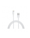 Apple Przewód ze złącza Lightning na USB (1 m) MD818ZM/A - nr 3