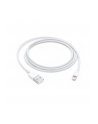 Apple Przewód ze złącza Lightning na USB (1 m) MD818ZM/A - nr 11