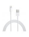 Apple Przewód ze złącza Lightning na USB (1 m) MD818ZM/A - nr 12