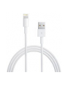 Apple Przewód ze złącza Lightning na USB (1 m) MD818ZM/A - nr 13