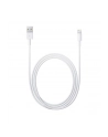 Apple Lightning to USB Camera Adapter (2m) - nr 16