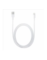 Apple Lightning to USB Camera Adapter (2m) - nr 21