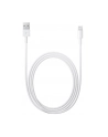 Apple Lightning to USB Camera Adapter (2m) - nr 32