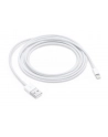 Apple Lightning to USB Camera Adapter (2m) - nr 6