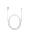 Apple Lightning to USB Camera Adapter (2m) - nr 31
