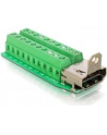 Delock Adapter Terminal Block (20-pin) -> HDMI - nr 17