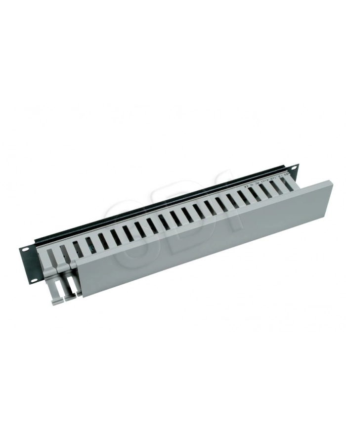 ORGANIZER KABLI 19  2U RAC-VP-X04 TRITON główny