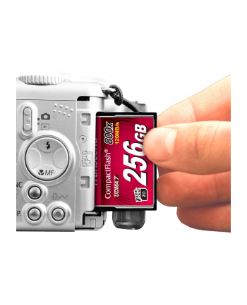 Transcend memory card 64GB Compact Flash 800x nr 2