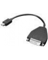 Lenovo Mini-DisplayPort to SL-DVI Cable - nr 24