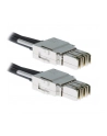 Cisco Systems Cisco Stackwise-480 1m Stacking Cable - nr 10