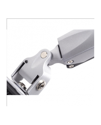 Silverstone monitor arm, silver