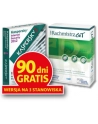 INSERT RACHMISTRZ GT - nr 4