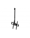 Maclean Uchwyt TV sufitowy 50kg MC-631 32-55 - nr 27