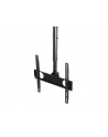 Maclean Uchwyt TV sufitowy 50kg MC-631 32-55 - nr 34