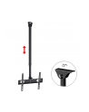 Maclean Uchwyt TV sufitowy 50kg MC-631 32-55 - nr 38