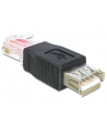 ADAPTER USB AM->RJ45 DELOCK(65234) - nr 2