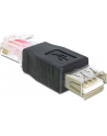 ADAPTER USB AM->RJ45 DELOCK(65234) - nr 8