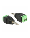 ADAPTER TERMINAL BLOCK (2PIN)->JACK 3.5MM(M) DELOCK - nr 6