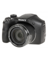 Sony DSC-H300 black - nr 21