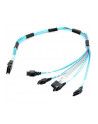 KABEL IPASS  SAS TO 4 SATA CBL-0097L-02 - nr 8