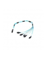 KABEL IPASS  SAS TO 4 SATA CBL-0097L-02 - nr 10