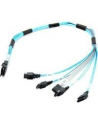 KABEL IPASS  SAS TO 4 SATA CBL-0097L-02 - nr 11