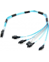 KABEL IPASS  SAS TO 4 SATA CBL-0097L-02 - nr 12