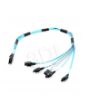 KABEL IPASS  SAS TO 4 SATA CBL-0097L-02 - nr 1