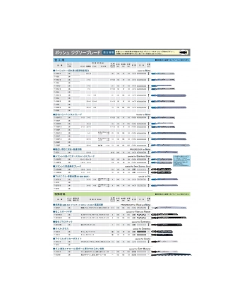 BRZESZCZOT T 101 BR PC5 HCS BOSCH nr 2