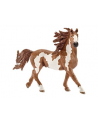 SCHLEICH Pinto ogier - nr 12