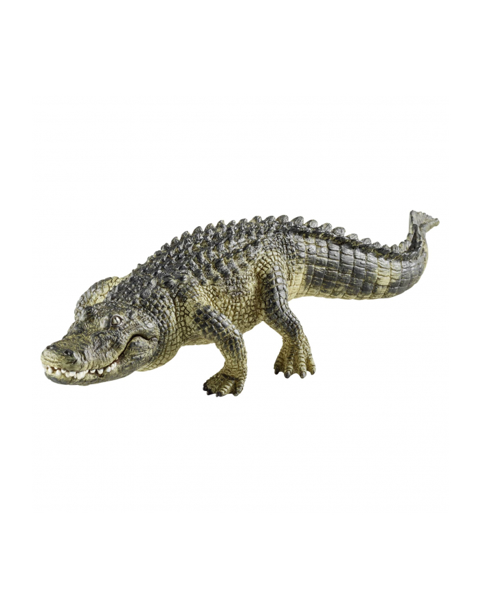 SCHLEICH Aligator główny