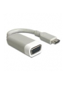 Delock Adapter HDMI-mini C (M) > VGA (F) - nr 7