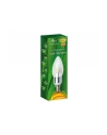 ART Żarówka świecowa, przeźr, gold LED E14, 4.5W, 18xSMD2835, AC230V, 320lm, WW - nr 2