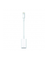 Apple Lightning to USB Camera Adaptor, 0,2m, Lightning to cam.USB - nr 12